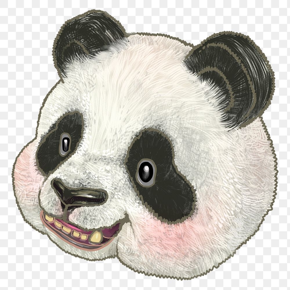 Panda bear png sticker, animal illustration on transparent background
