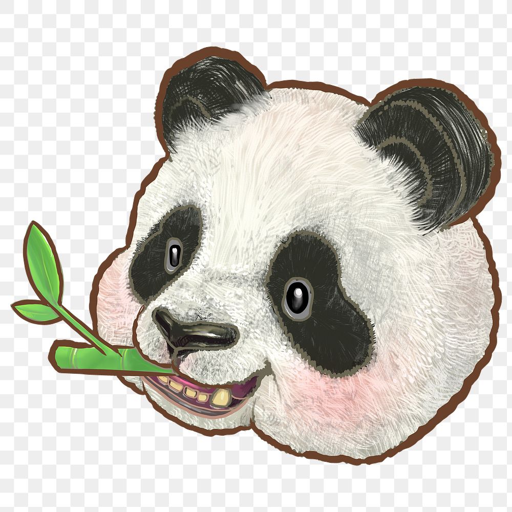 Panda eating bamboo png sticker, animal illustration on transparent background