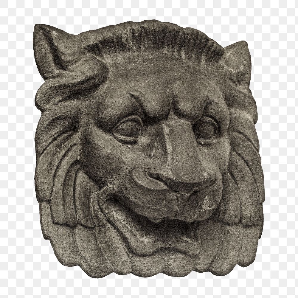 Muzzle of a lion png on transparent background, remixed by rawpixel