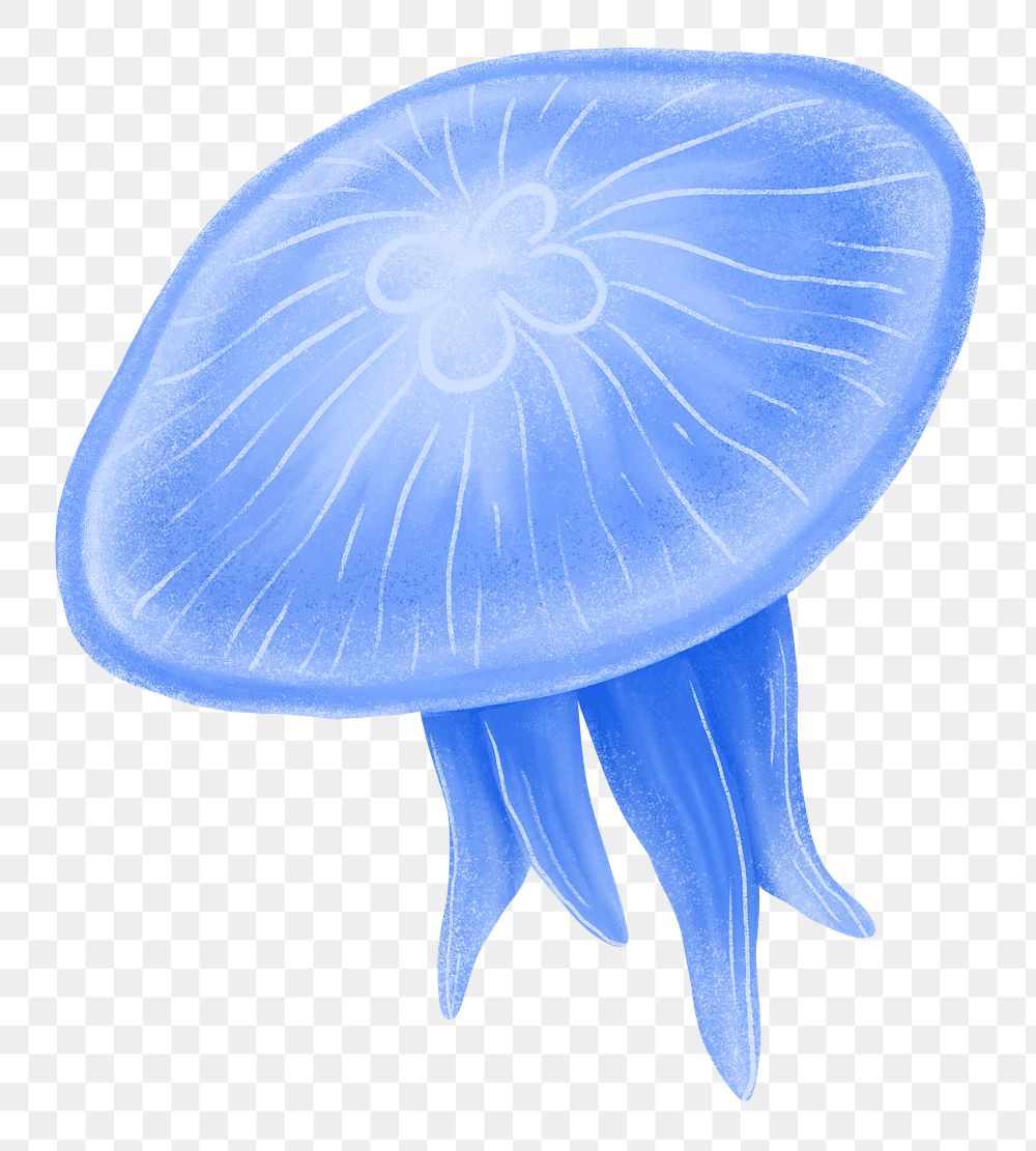 Blue jellyfish png sticker, animal illustration, transparent background