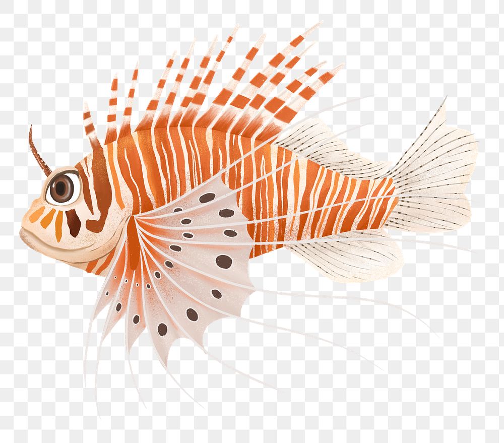 Lion fish png sticker, animal illustration, transparent background