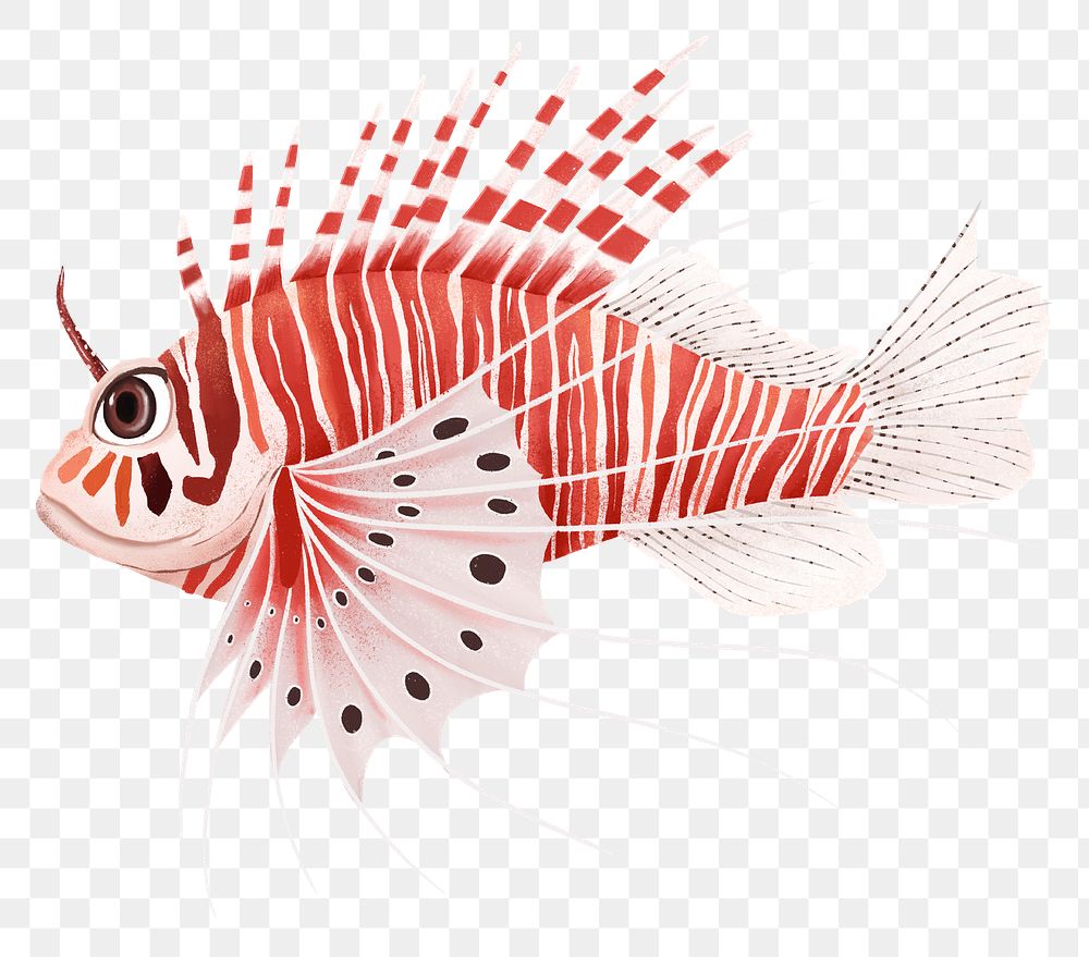 Red lion fish png sticker, animal illustration, transparent background