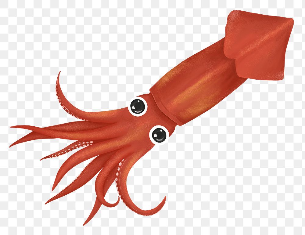 Red squid png sticker, animal illustration, transparent background