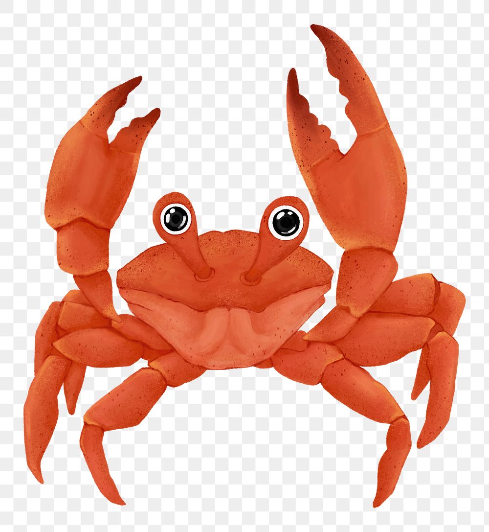 Cute crab png sticker, animal illustration, transparent background