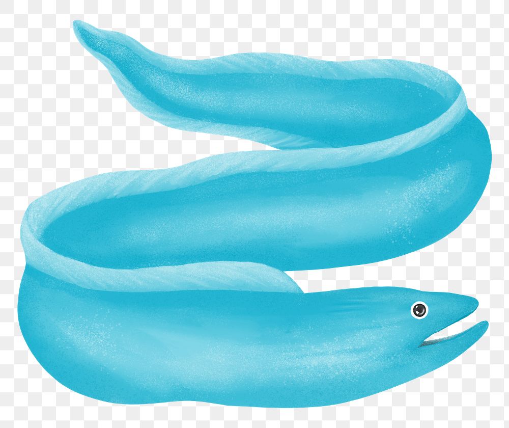 Blue eel png sticker, animal illustration, transparent background