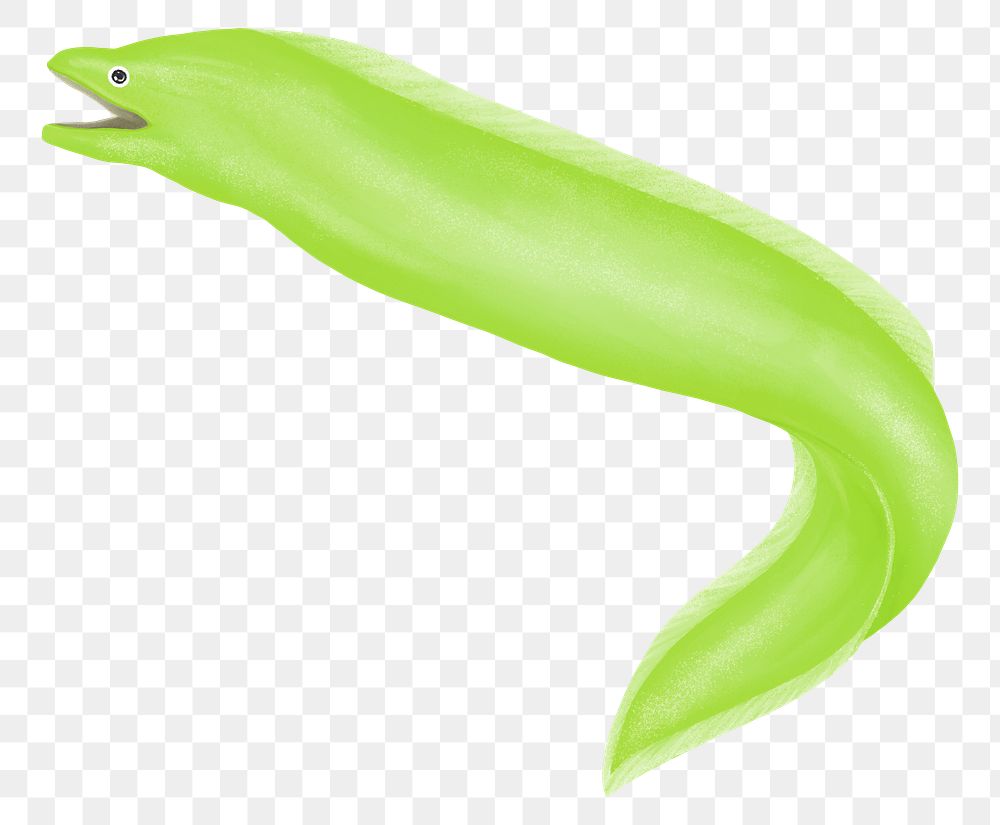 Green eel png sticker, animal illustration, transparent background