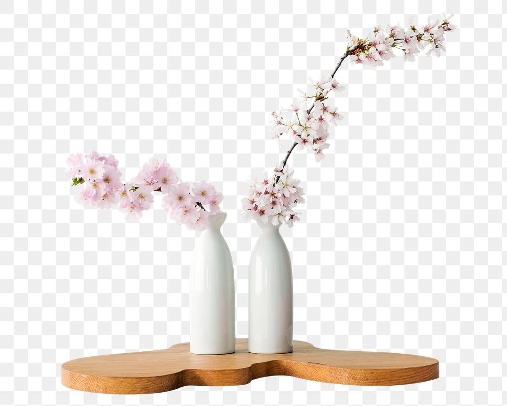 Png cherry blossom in vases sticker, transparent background