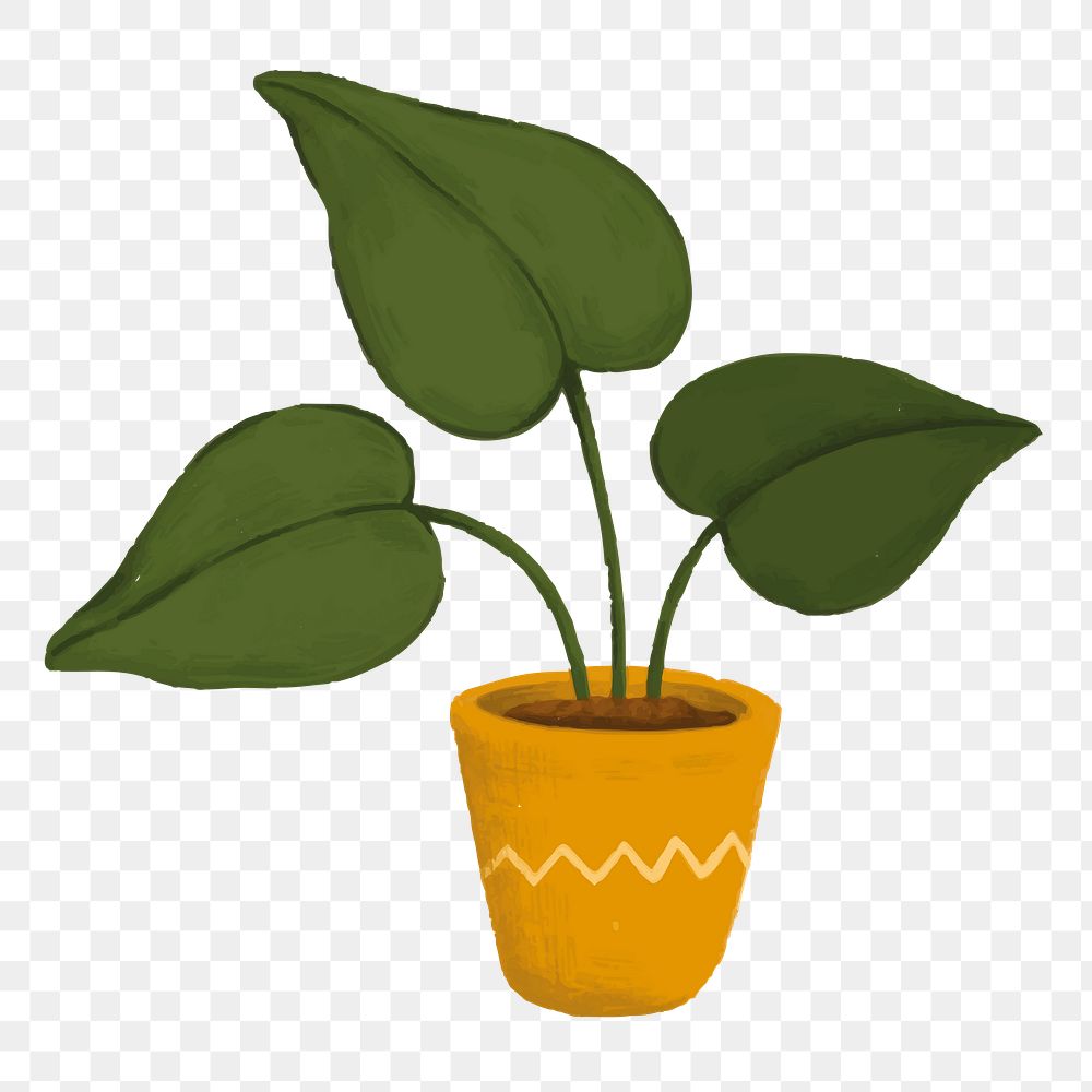 Aesthetic houseplant png sticker, transparent background