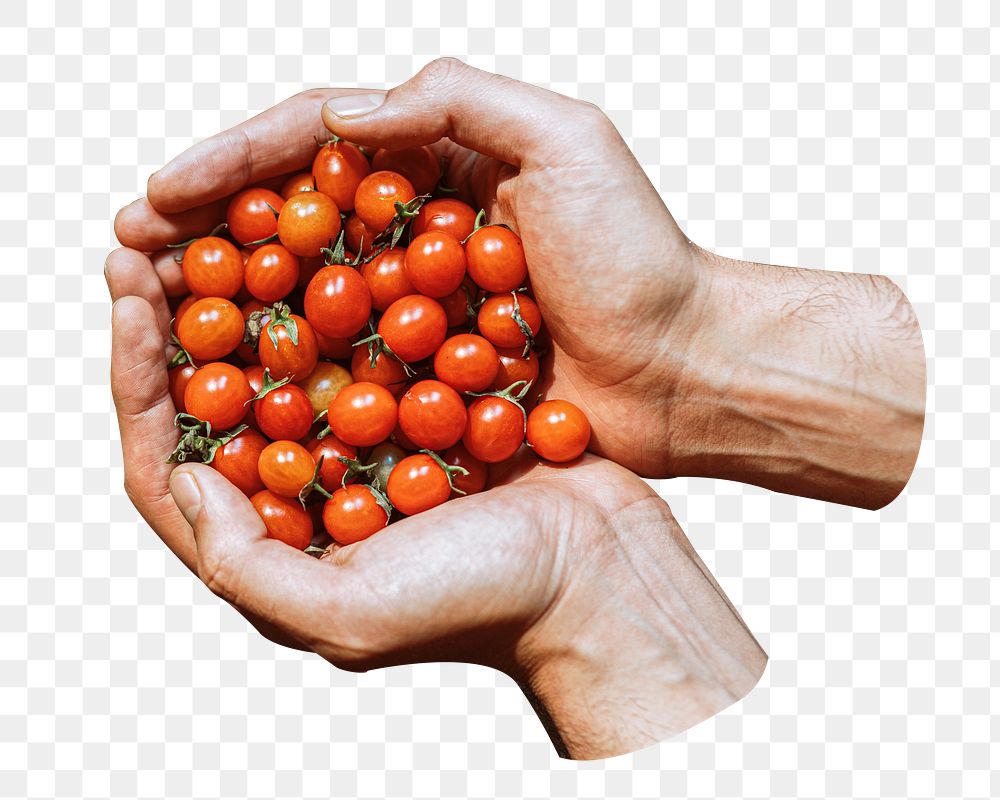 Png handful of cherry tomatoes sticker, food isolated image, transparent background