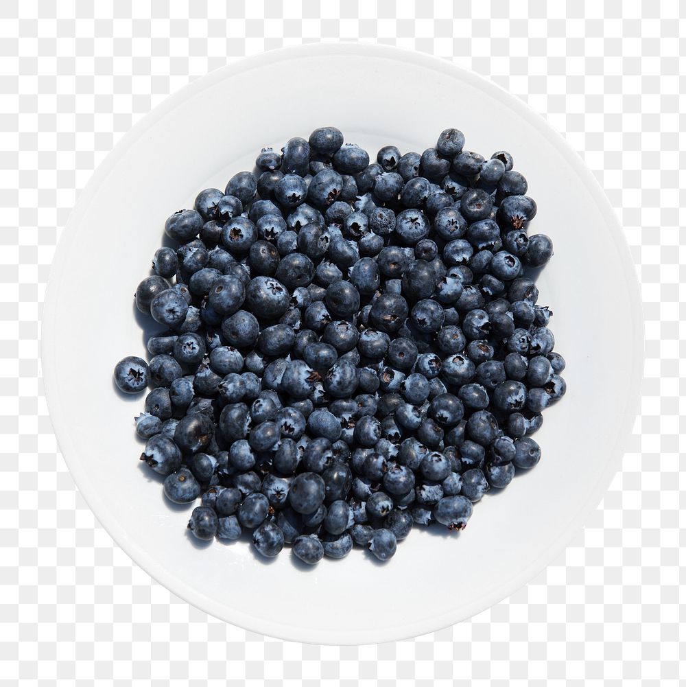 Png blueberry, transparent background