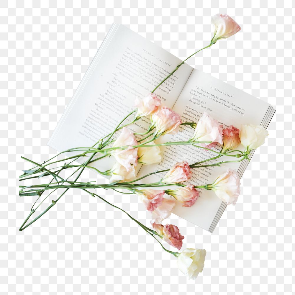 White flower png collage element, transparent background