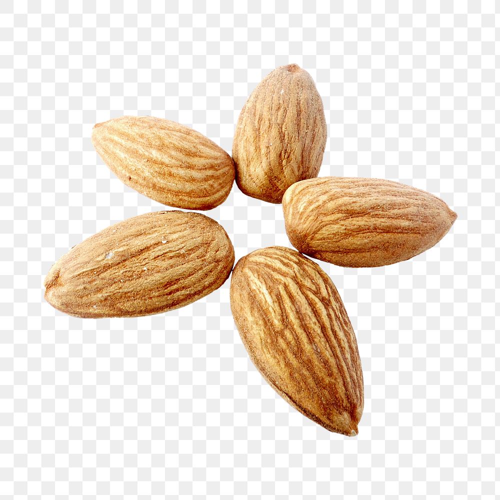 Almonds png collage element, transparent background