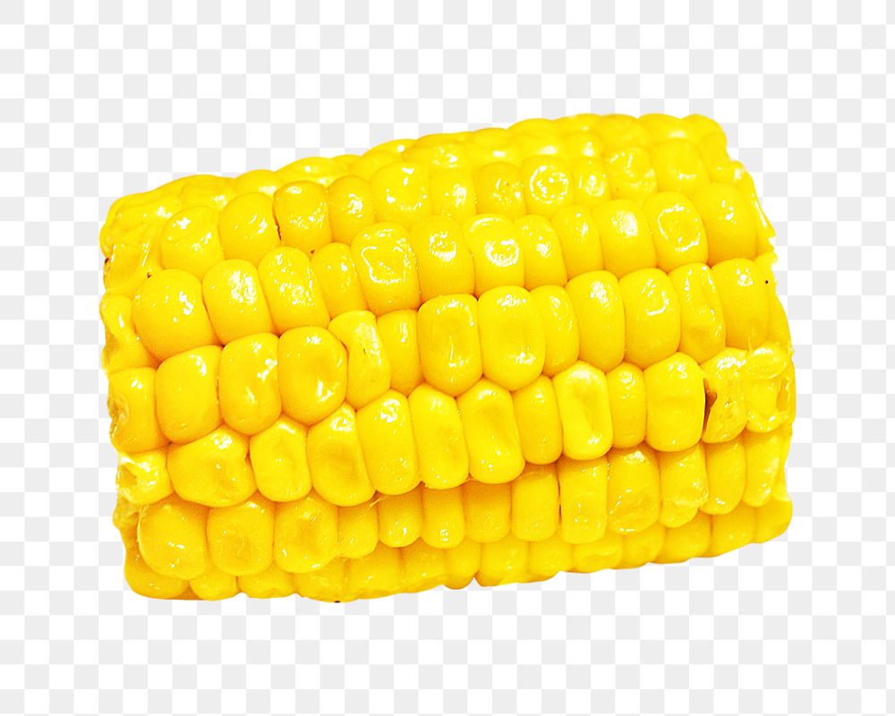 Corn cob png collage element, transparent background