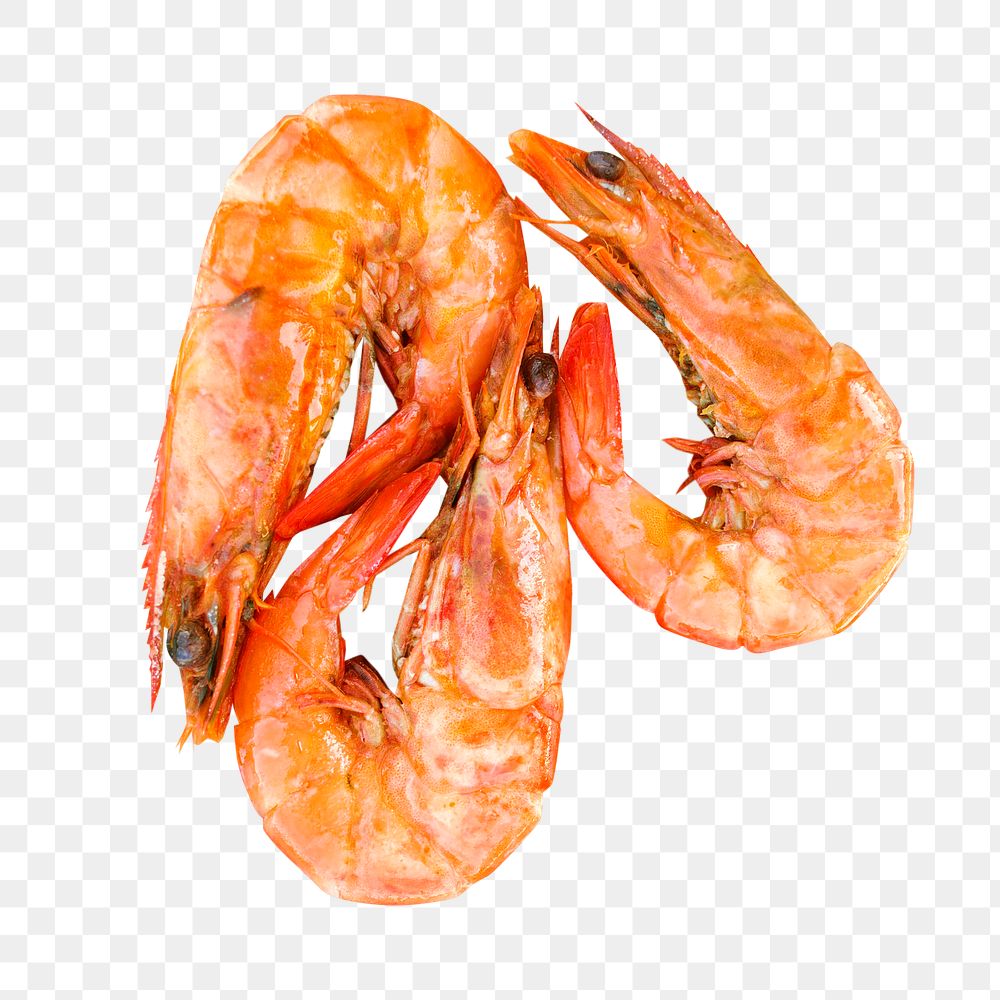 Cooked shrimp png collage element, transparent background