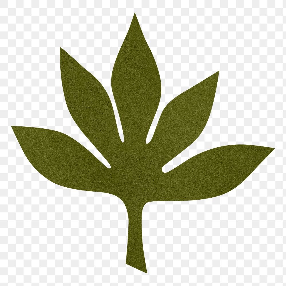 PNG green chestnut leaf  , paper craft element, transparent background