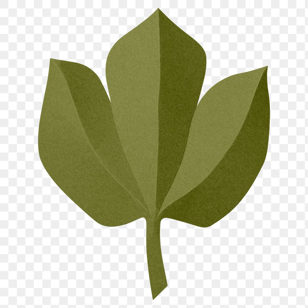 PNG green blackcurrant leaf , paper craft element, transparent background