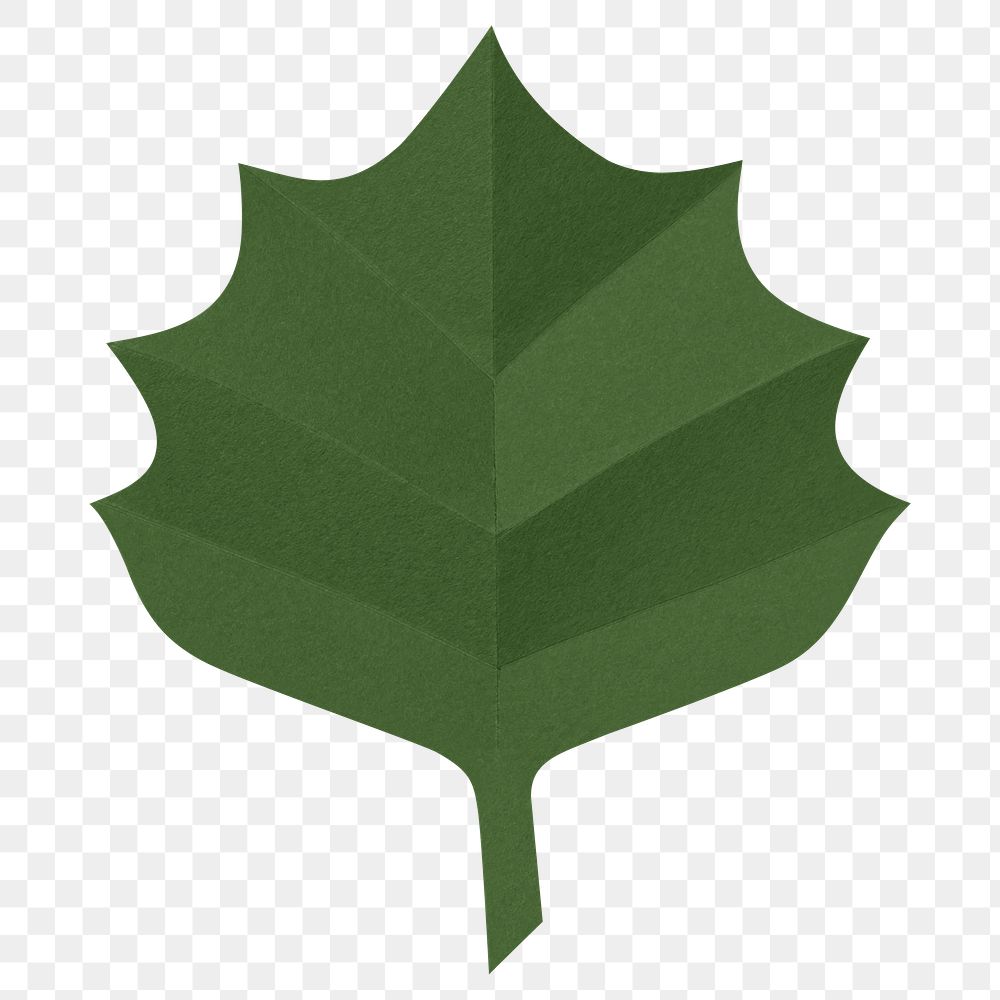 PNG green aspen leaf , paper craft element, transparent background