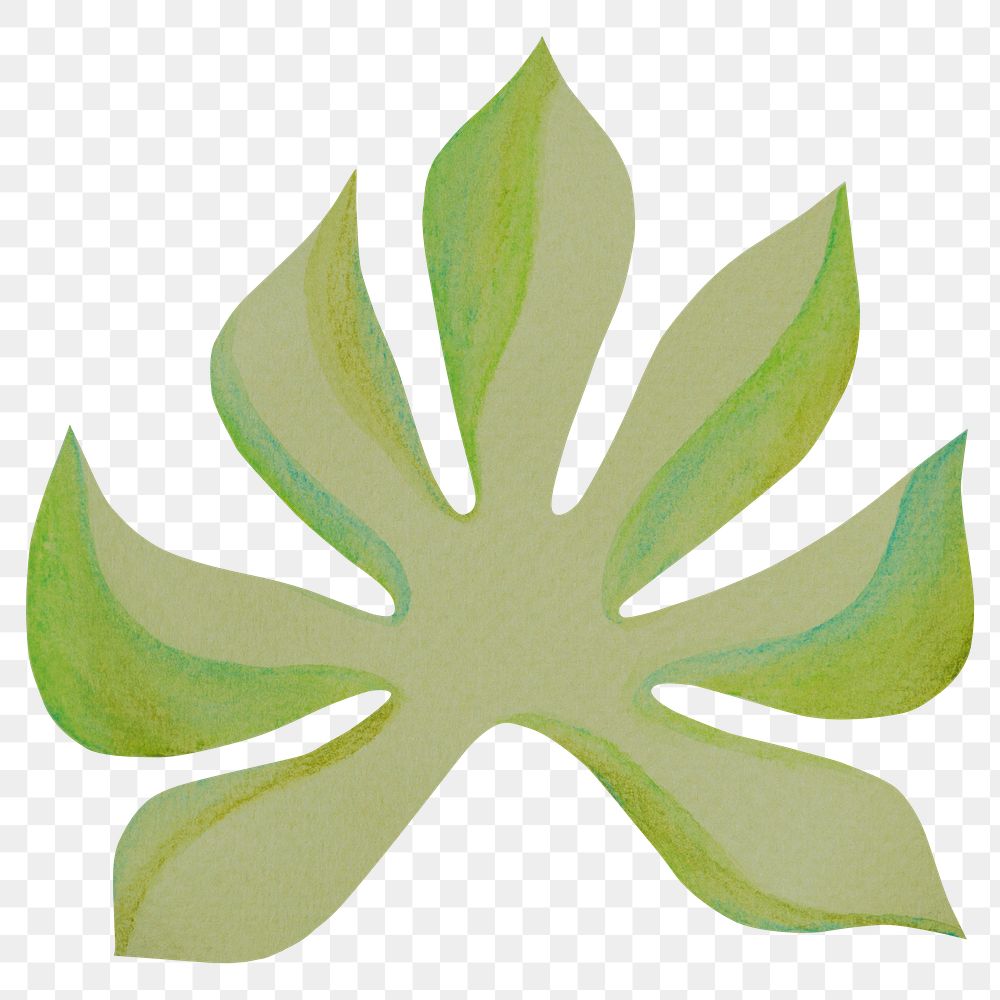 PNG green summer leaf, paper craft element, transparent background