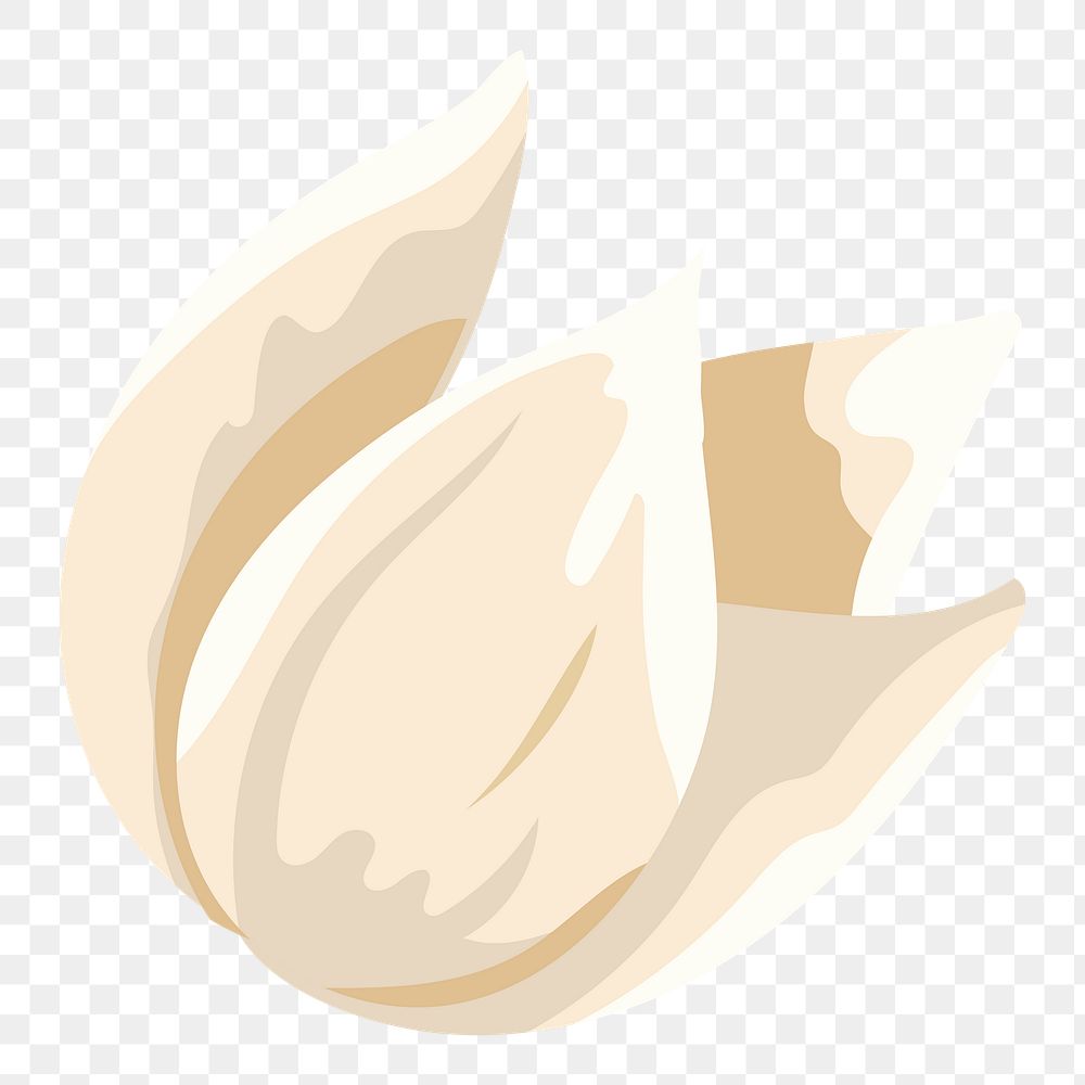 Cream aesthetic flower png, transparent background