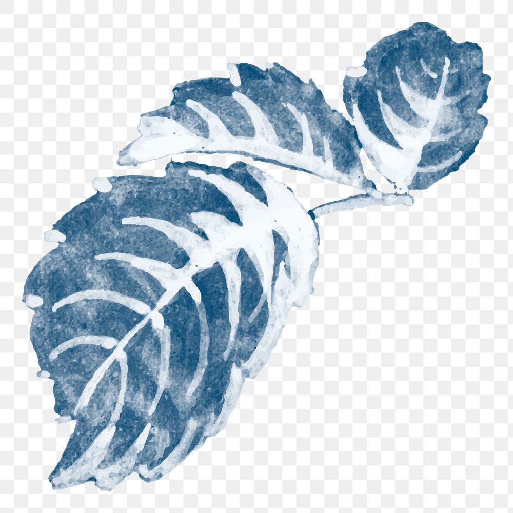 Vintage png blue watercolor leaf ,  transparent background