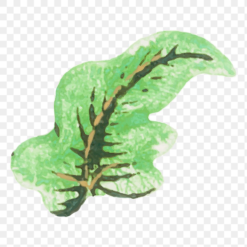 Vintage png green leaf watercolor, transparent background