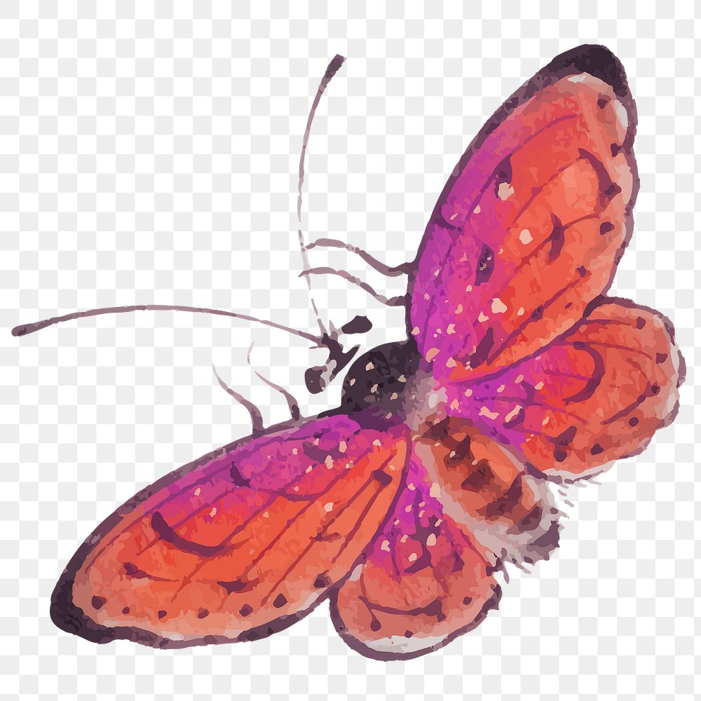 Butterfly png watercolor painting on transparent background