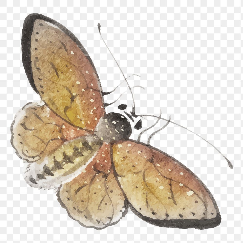 Vintage butterfly png collage element, transparent background