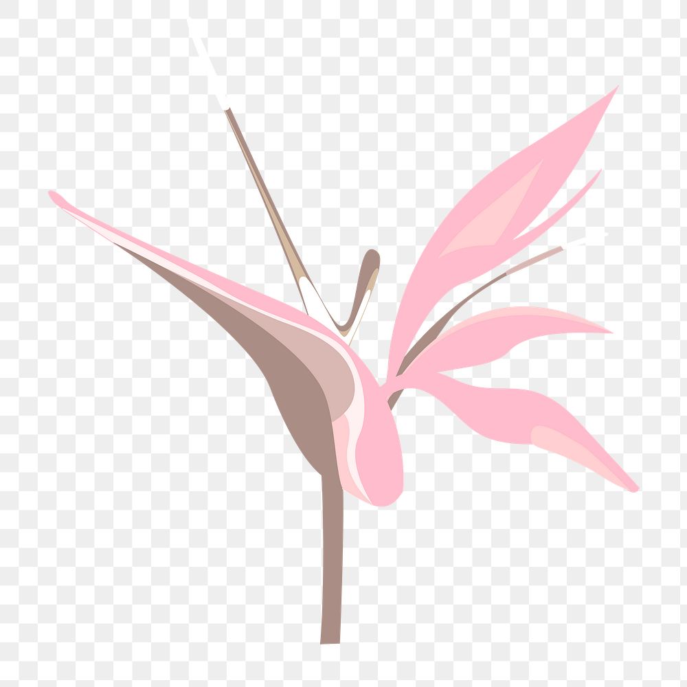 Tropical flower png pastel illustration, transparent background