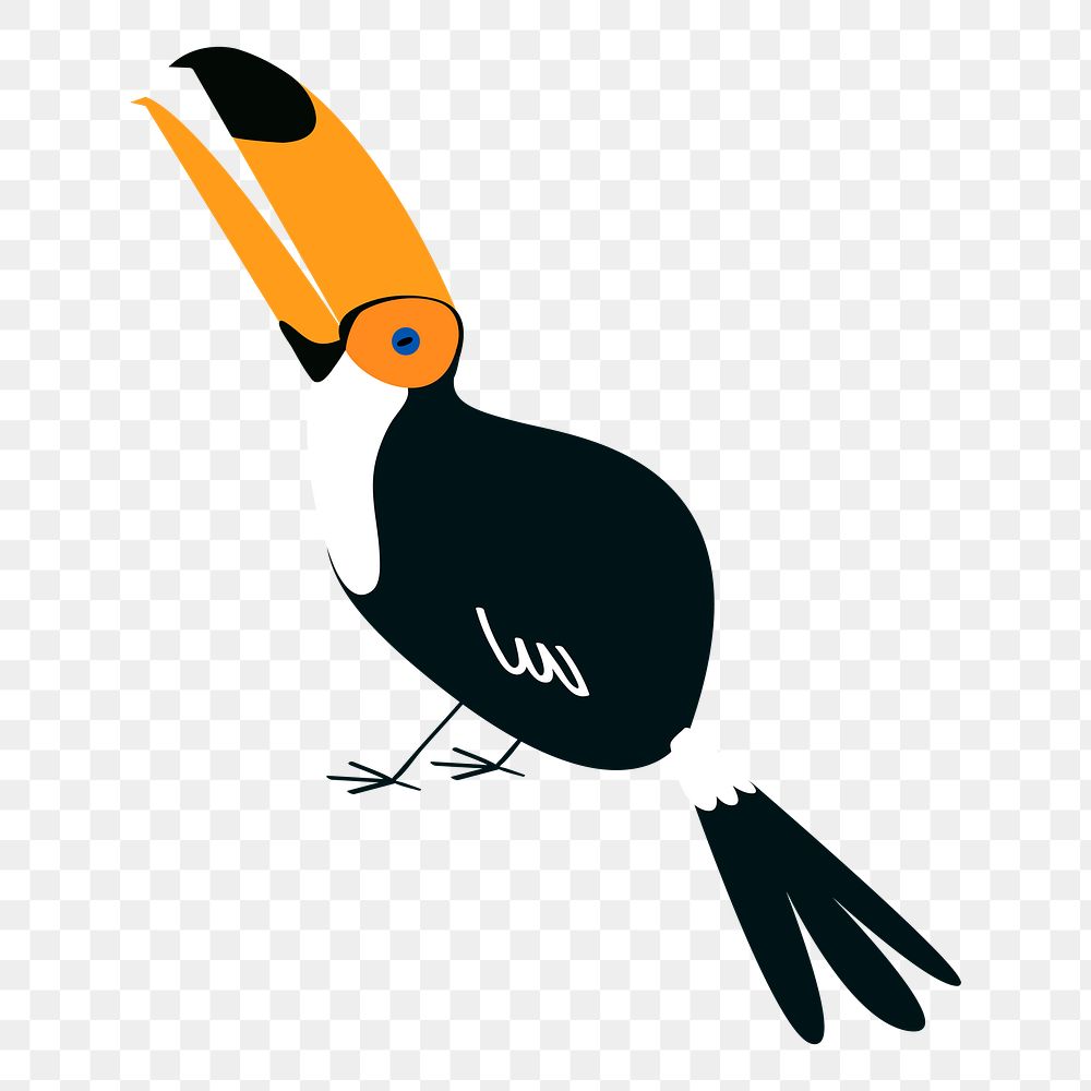 Toucan bird png illustration, transparent background