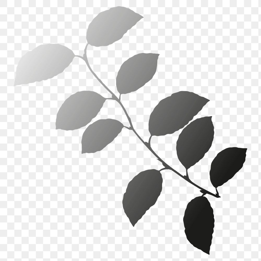 PNG gradient silhouette leaf, transparent background