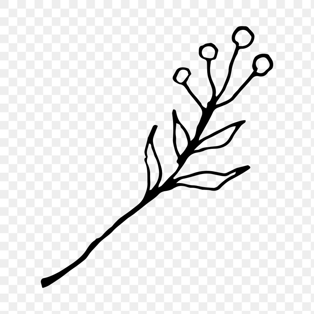 Branch line art png black doodle, transparent background