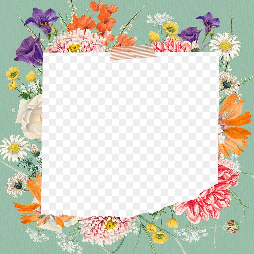 Wedding flower png frame, colorful botanical transparent design