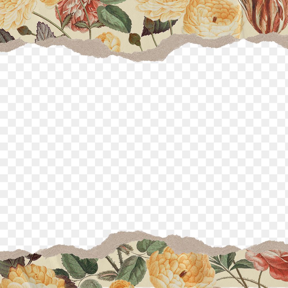 Vintage flower png border, botanical aesthetic, transparent background