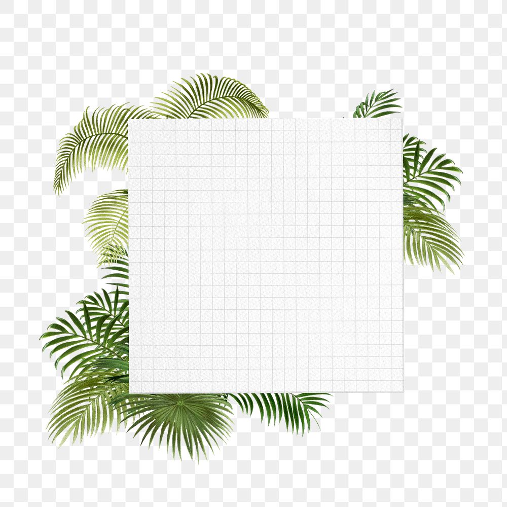 PNG Tropical palm leaf badge, Summer aesthetic, transparent background