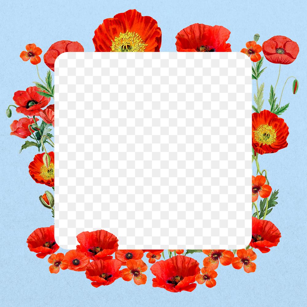 Red poppy png frame, Summer flower transparent design