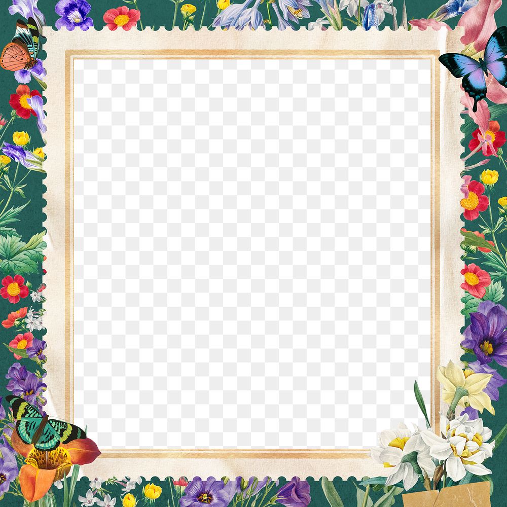 Spring flowers png frame, colorful botanical transparent design