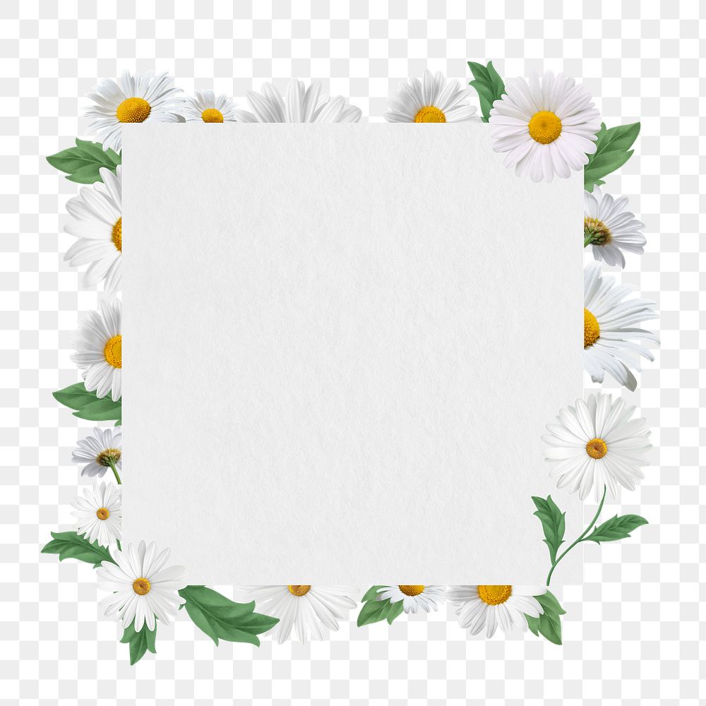 PNG White daisy badge, Spring flower design, transparent background