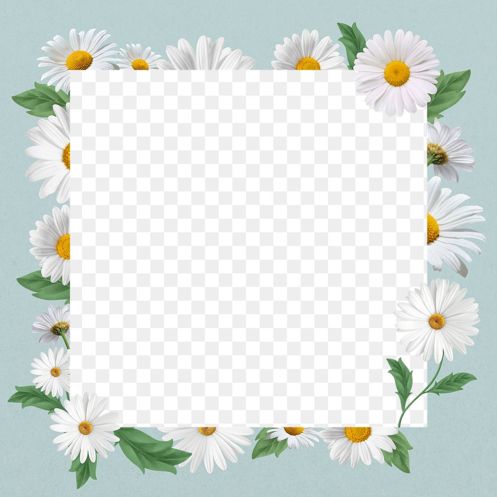 White daisy png frame, Spring flower transparent design