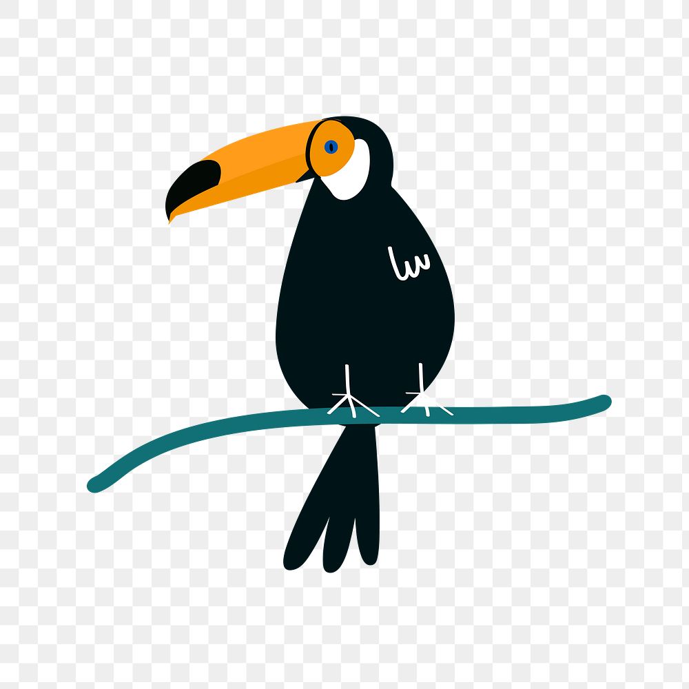 Toucan bird png clip art, aesthetic tropical illustration on transparent background 