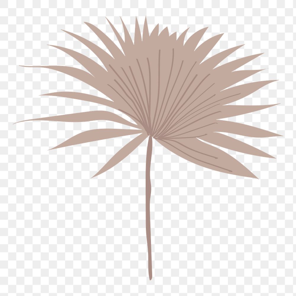 Fan palm leaf png clip art, aesthetic tropical illustration on transparent background