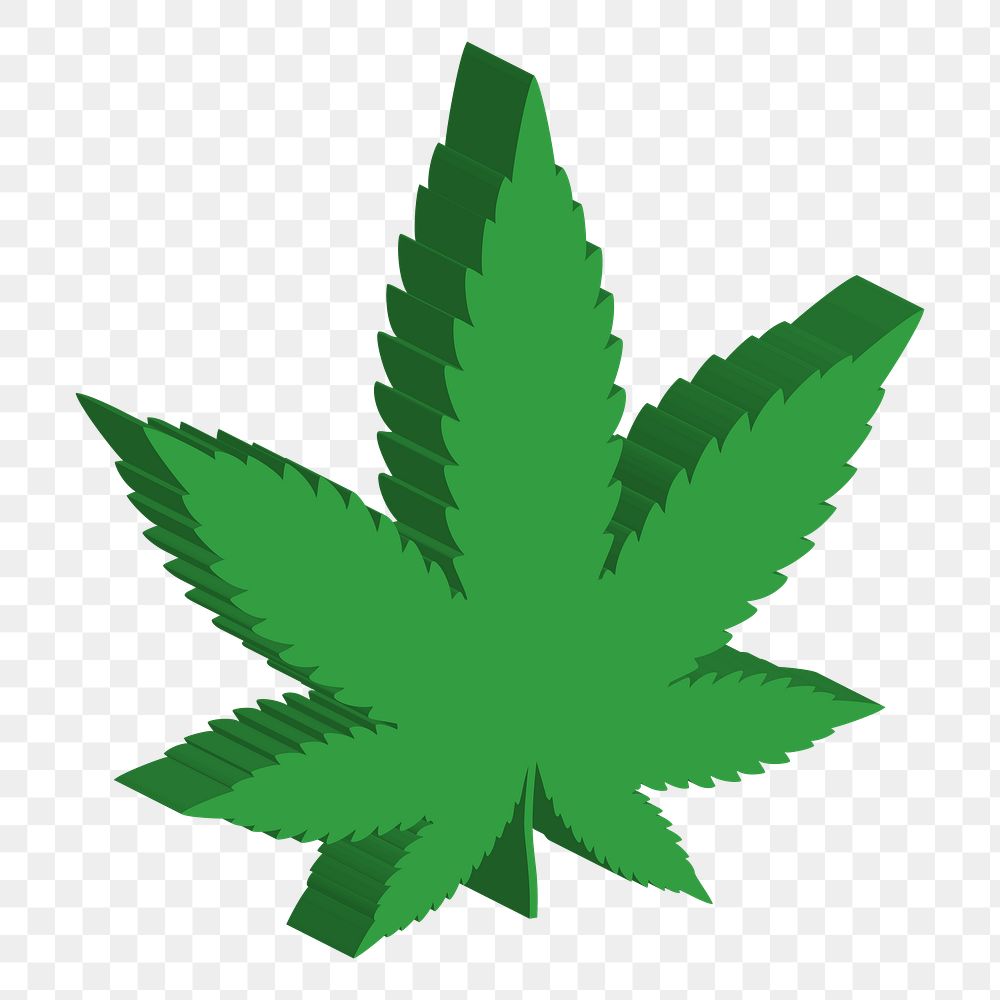 Marijuana leaf png clipart, transparent background. Free public domain CC0 image.