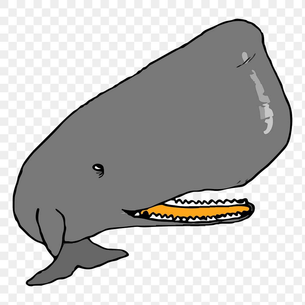 Sperm whale  png clipart illustration, transparent background. Free public domain CC0 image.