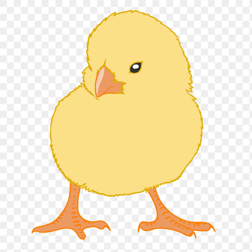 Chick png illustration, transparent background. Free public domain CC0 image.