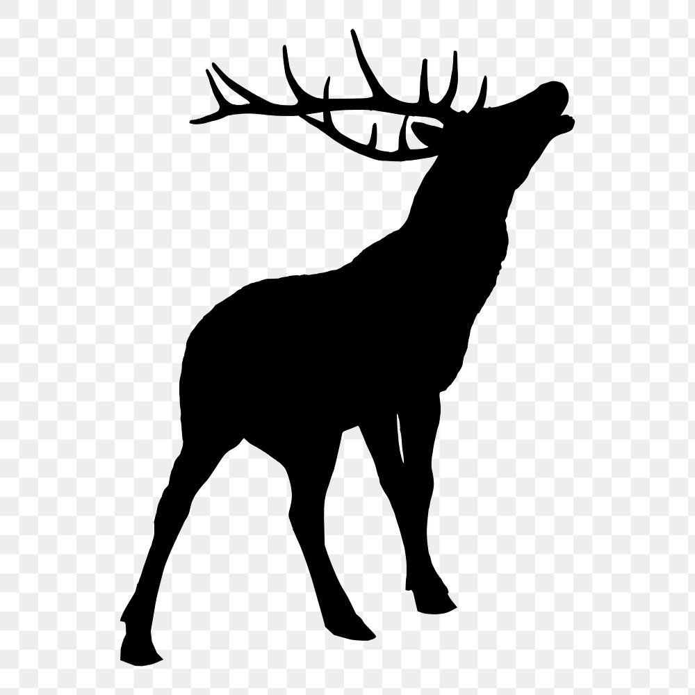 Moose png illustration, transparent background. Free public domain CC0 image.