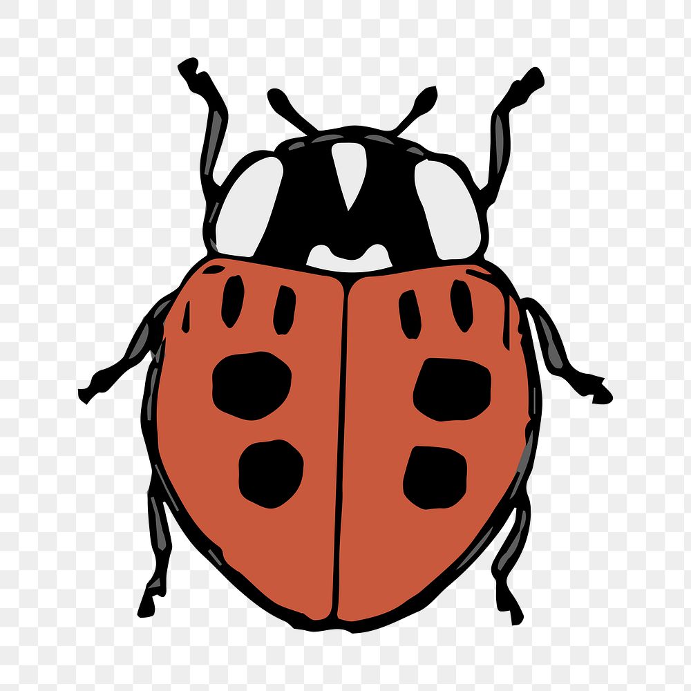 Lady bug png illustration, transparent background. Free public domain CC0 image.