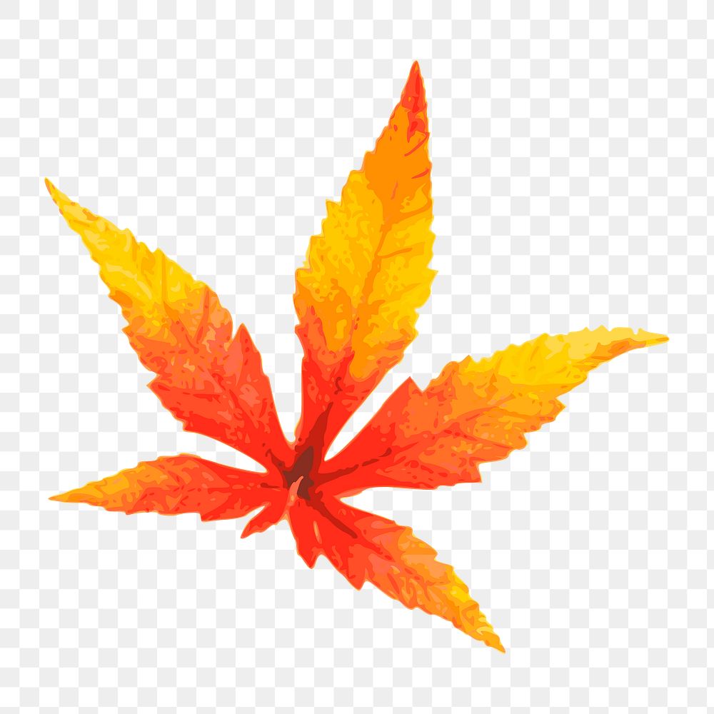 Png red maple leaf clipart, transparent background. Free public domain CC0 image.