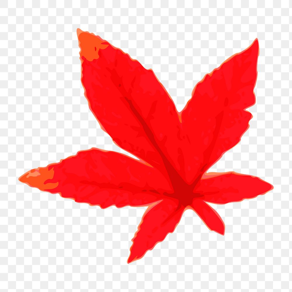 Png red maple leaf clipart, transparent background. Free public domain CC0 image.