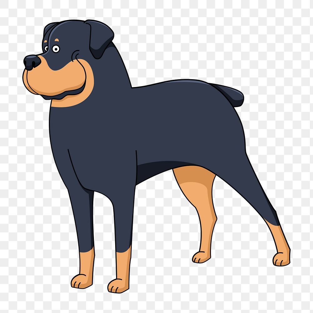 Png rottweiler dog clipart, transparent background. Free public domain CC0 image.