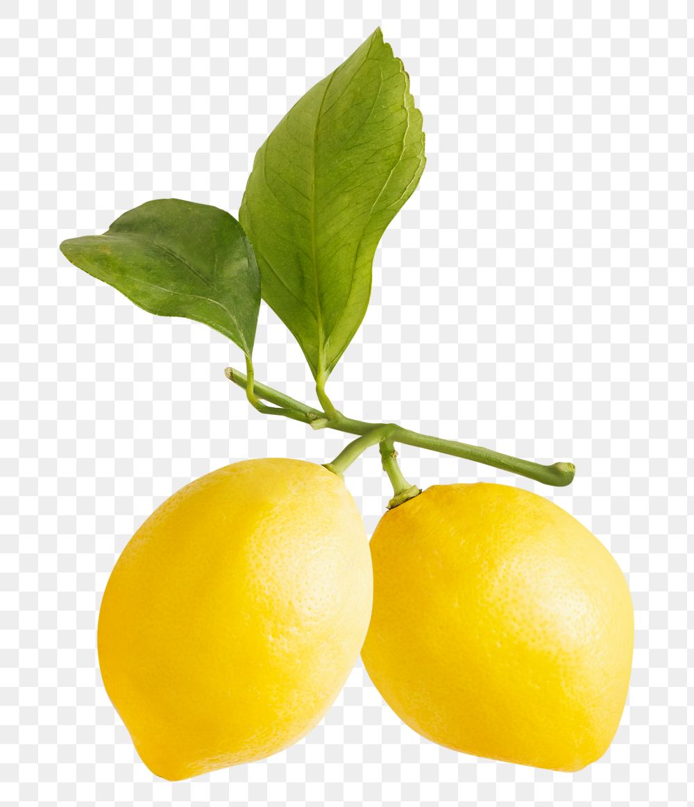 Lemon png image on transparent background