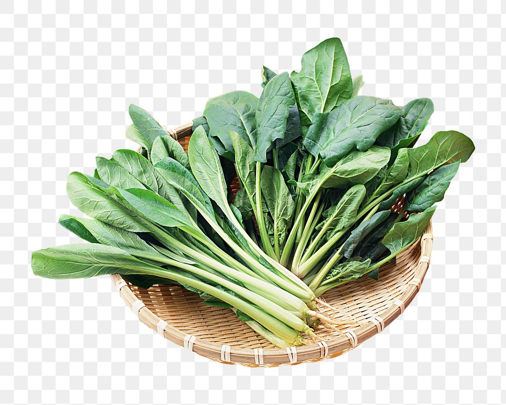 Young spinach png collage element, transparent background